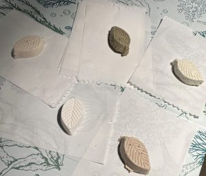 Atelier cosmétique